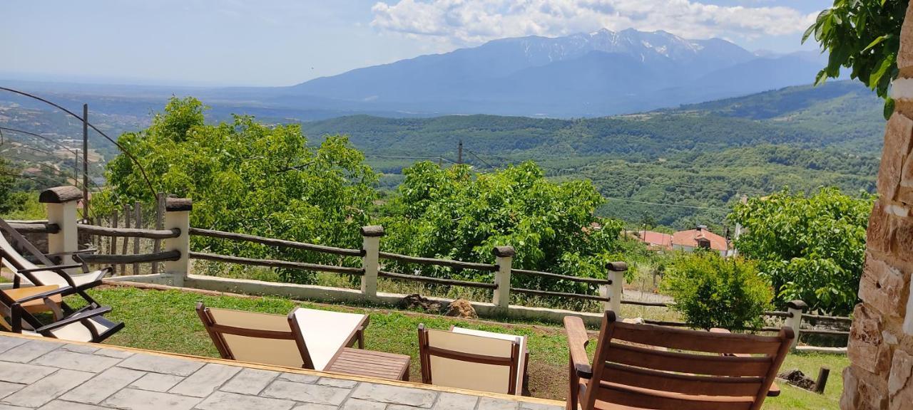 Dimitra'S Villas エラトホリ エクステリア 写真