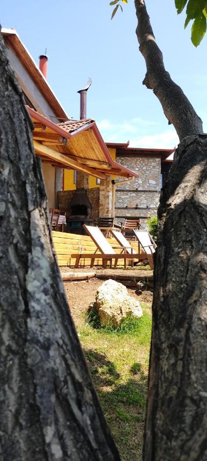 Dimitra'S Villas エラトホリ エクステリア 写真